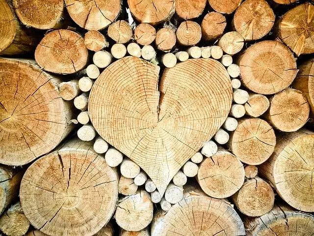 Bauen mit Holz Bauen mit Holz